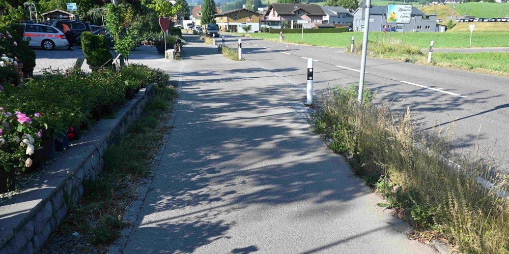 Der 50-jährige E-Bike-Fahrer wurde dabei eher leicht verletzt. Er wurde vom Rettungsdienst ins Spital gebracht.
