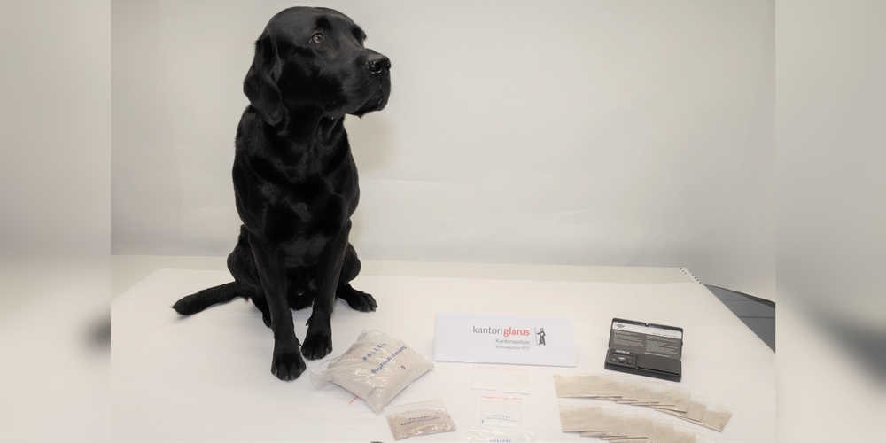 Der erfolgreiche Drogenspürhund «Flake» (l.) mit einem Teil der sichergestellten Betäubungsmittel.