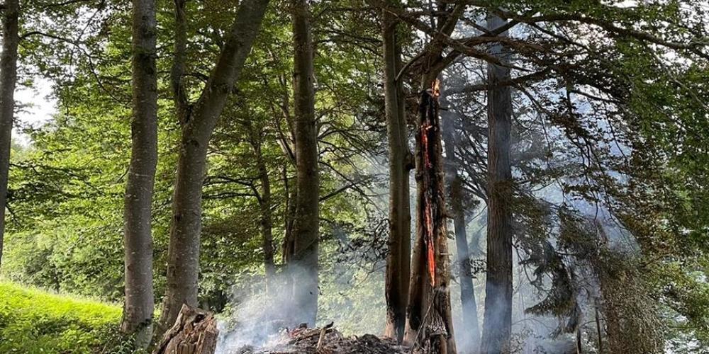 In Mastrils brannte es am Donnerstagabend nach einem Blitzeinschlag. Einsatzkräfte waren mehrere Stunden mit Löscharbeiten beschäftigt.