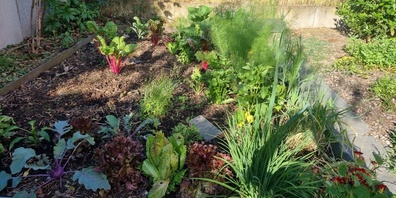 Auch ein Quartiergarten kann als historisch gelten.