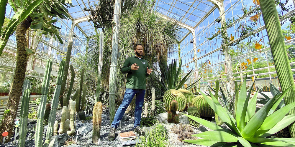 Der Monsterkaktus ist die älteste Pflanze in der Sukkulenten-Sammlung Zürich. Kurator und Botaniker Felix Merklinger überzeugte mit profundem botanischem und historischem Wissen.