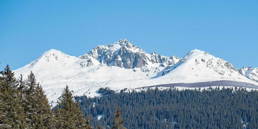 Die von Repower geplante Solaranlage bei der Bergbahn Madrisa in Klosters GR soll bis zu 3500 Haushalte und die Bergbahn mit Strom versorgen.