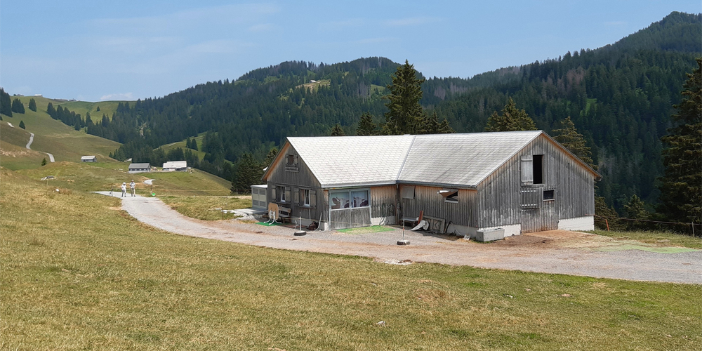 Weitsicht in Amden: Die Alp Rossack im Vordergrund, dahinter «Altschen» und ebenfalls  noch im Bild die Vorder Höhi.