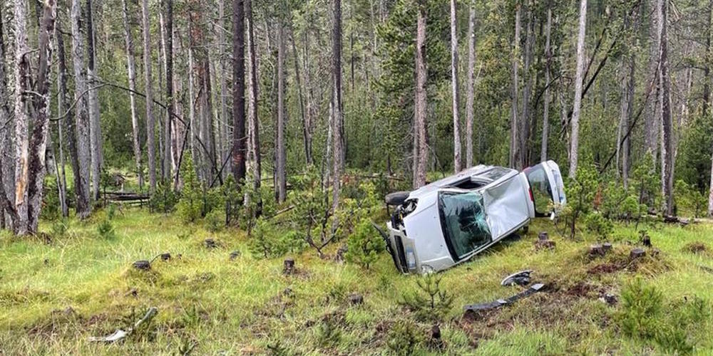 Der Wagen blieb an einem Baum liegen.