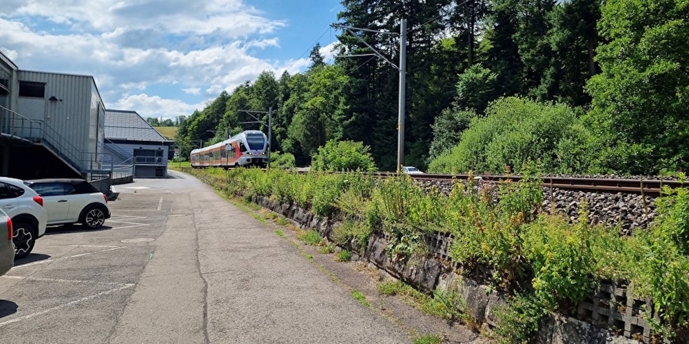 Mitten im Sommer wird der Strandweg zwischen Oberbollingen und Schifffahrtsamt zeitweise für VelofahrerInnen gesperrt.