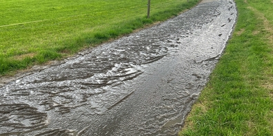 Über eine abfallende Strasse (Bild) floss die Gülle schliesslich in einen Bach, wo auf mehreren hundert Metern viele Fische verendeten.