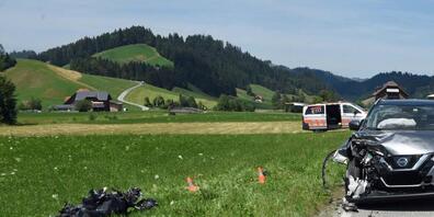 Der Töfffahrer landete in der Wiese.