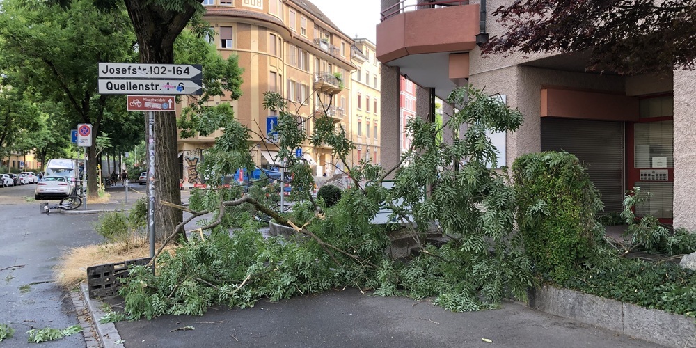Am Dienstagabend fegte ein Sturm über Zürich. Auch Bäume wurden in Mitleidenschaft gezogen, wie hier an der Röntgenstrasse.