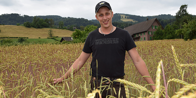 Remo Marty hat vor knapp zwei Jahren entschieden, auf Biolandbau umzusteigen. Schon ab nächstem Jahr baut er offiziell Bio-Kartoffeln, Bio-Ur-Dinkel (im Bild) und Bio-Braugerste an.