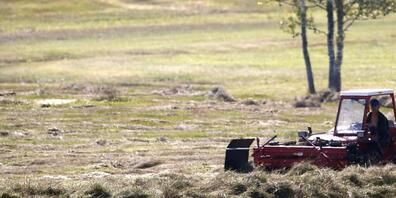 Auf dem geschützten Moor darf nur ein Mal im Jahr gemäht werden. (Archivaufnahme)