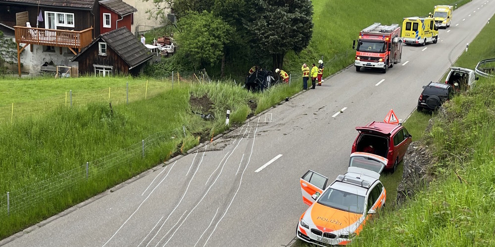 Der Fahrer und drei Mitfahrer wurden mit eher leichten Verletzung ins Spital gebracht.