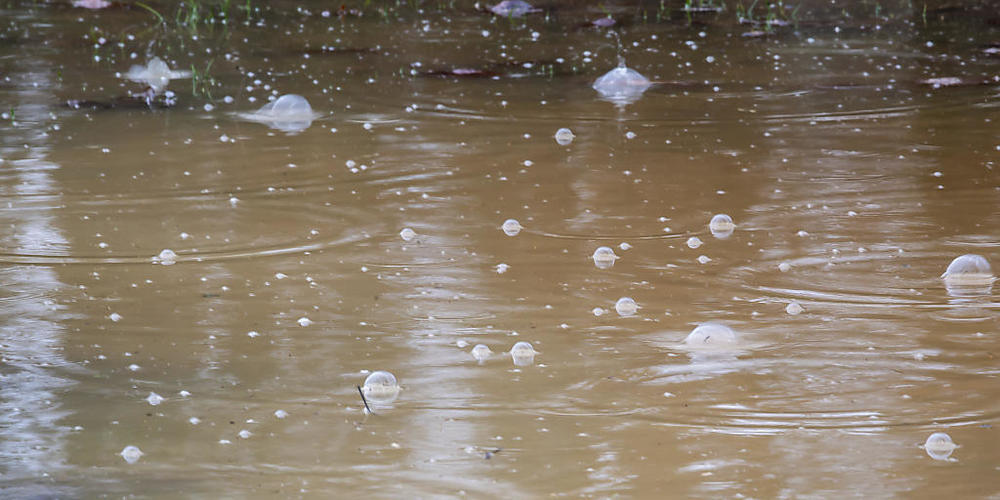 Starker Regen führte in Riemenstalden SZ zu einem Erdrutsch. (Symbolbild)