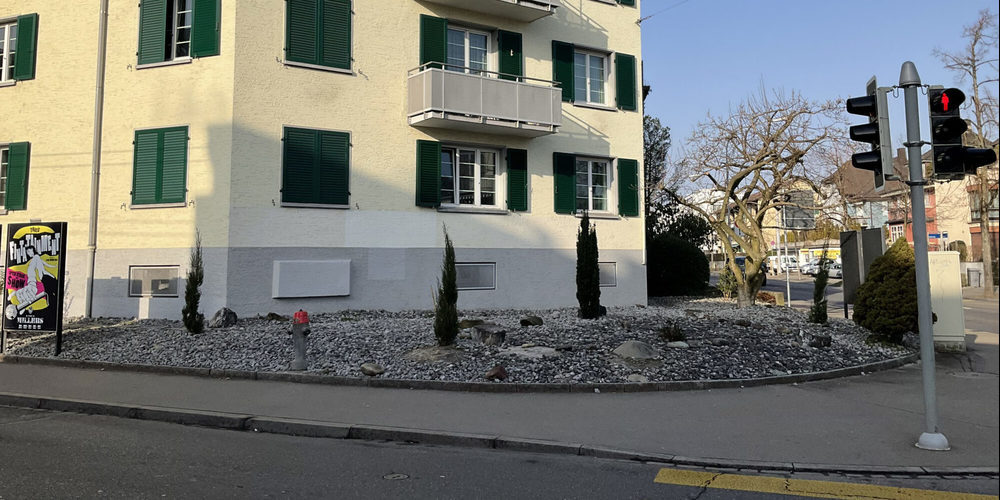 Anstelle dieses Steingartens an der Kreuzung Letzigraben-Fellenbergstrasse soll ein Naturparadies entstehen.