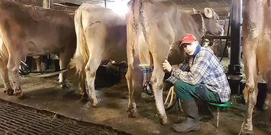 Beim Melken fremder Kühe: Betriebshelfer Der Ausserschwyzer Pascal Betschart bei einem seiner letztjährigen Einsätze im Stall eines «fremden» Landwirts.
