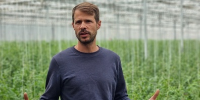 Samuel Müller bei den Tomaten.