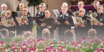 Die bunte Farben- und Blütenpracht im Gewächshaus der Gärtnerei Messmer bildet den  speziellen Rahmen für das frühlingshafte Konzert vom Männerchor Au Berneck. 