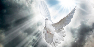 Sichtbar in Gestalt einer Taube kam der Heilige Geist auf Jesus herab