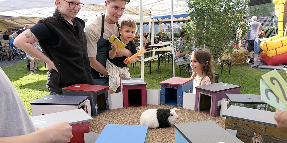 Klein und Gross wurde beim Meerschweinchen ratspiel unterhalten: in welches Häuschen geht das Meersäueli?