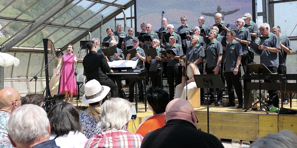 Auch der Männerchor Au-Berneck wird am Wertungssingen teilnehmen