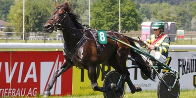 Enattof und Henri Turrettini im Sulky gewinnen das wichtigste Trabrennen des Tages. 