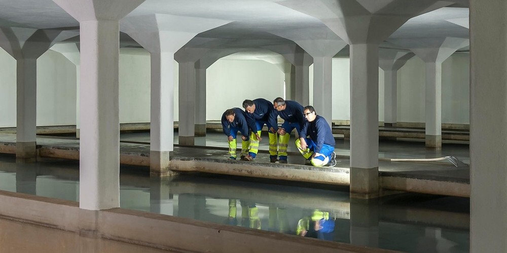 Menschen braucht es natürlich auch, um Zürichs Trinkwasser zu überwachen. Doch auch winzig kleine Wasserflöhe tragen dazu bei. 