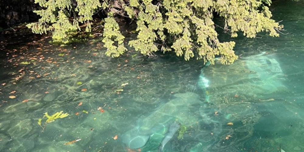 Ein Motorkarren mit Kippmulde stürzte beim Rütli in den Vierwaldstättersee.