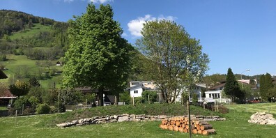 Die neugestaltete «Naturperle» bei der Schulanlage Bündt in Rüthi