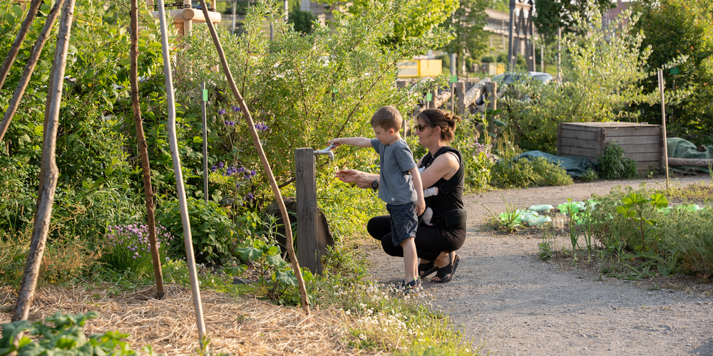 Das Areal Bach zwischen der Migros und dem Bahnhof St.Fiden lädt zum Entdecken und Erleben der Natur ein.