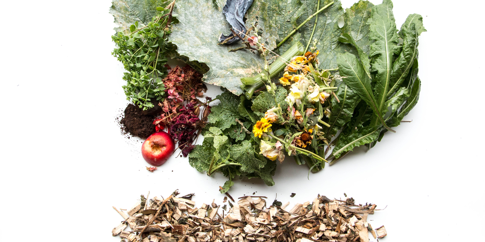 Wunderding Grüngut: Wie Bioabfälle ein buntes Leben im eigenen Garten fördern.
