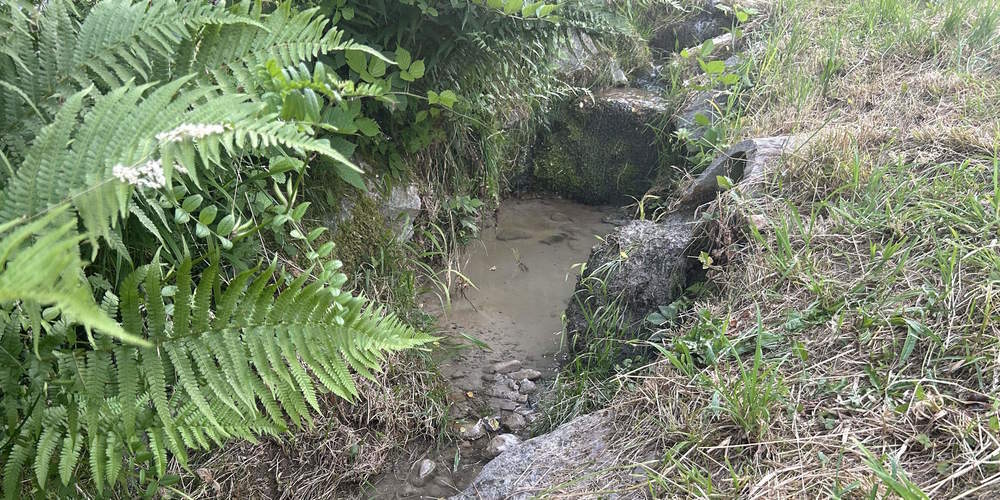 Mutmasslich gelangte Bohrschlamm in den Bach.
