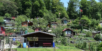 Der Schrebergarten – eine stille Oase im hektischen Arbeitsalltag. (Symbolbild)