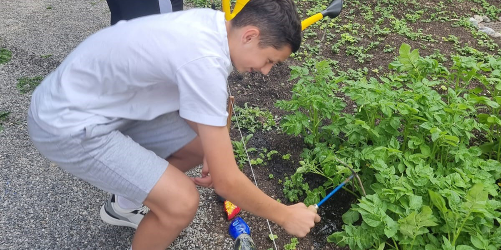 Jugendjobbörse: Jäten für den Traum vom eigenen Töffli.