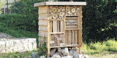 Die Gemeinde Mosnang hat zusammen mit der Oberstufe und natur-mosnang einen Lebensturm geschaffen.