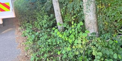 Glück im Unglück hatte ein Senior, der mit seinem Elektrofahrzeug in ein Tobel stürzte. Er verletzte sich dabei nur leicht.