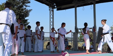 Die Kinder und Jugendlichen des Karatecenter Reto Kern zeigten eine faszinierende Show.