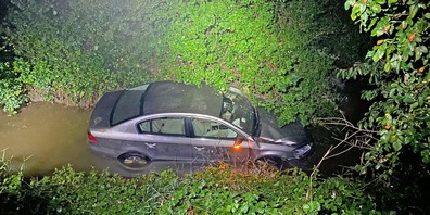 Es entstand ein Sachschaden von mehreren tausend Franken. 