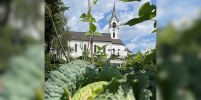 Seit einiger Zeit engagiert sich der Pfarreirat Jona bei einem Hochbeet-Projekt auf kircheneigenen Flächen, das nun Früchte trägt.