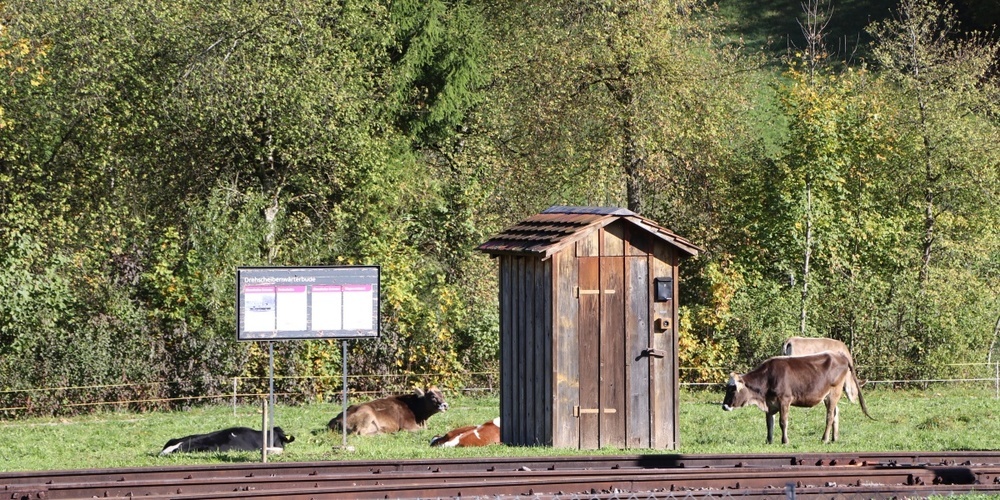 Idylle auf dem Gelände von «Erlebbares Schweizer Bahnkulturerbe» in Bauma.