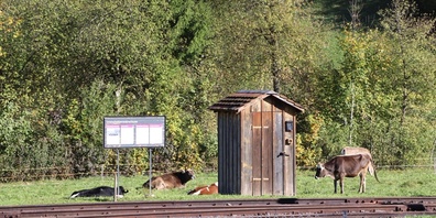 Idylle auf dem Gelände von «Erlebbares Schweizer Bahnkulturerbe» in Bauma.