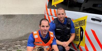 Der Windhund "Elliot" mit zweien seiner Retter in Chur.