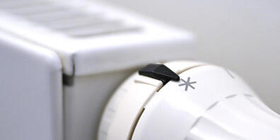 Thurgauer Haushalte mit tiefen Einkommen hätten gemäss einer Motion für die gestiegenen Energiepreise entschädigt werden sollen. (Symbolbild)