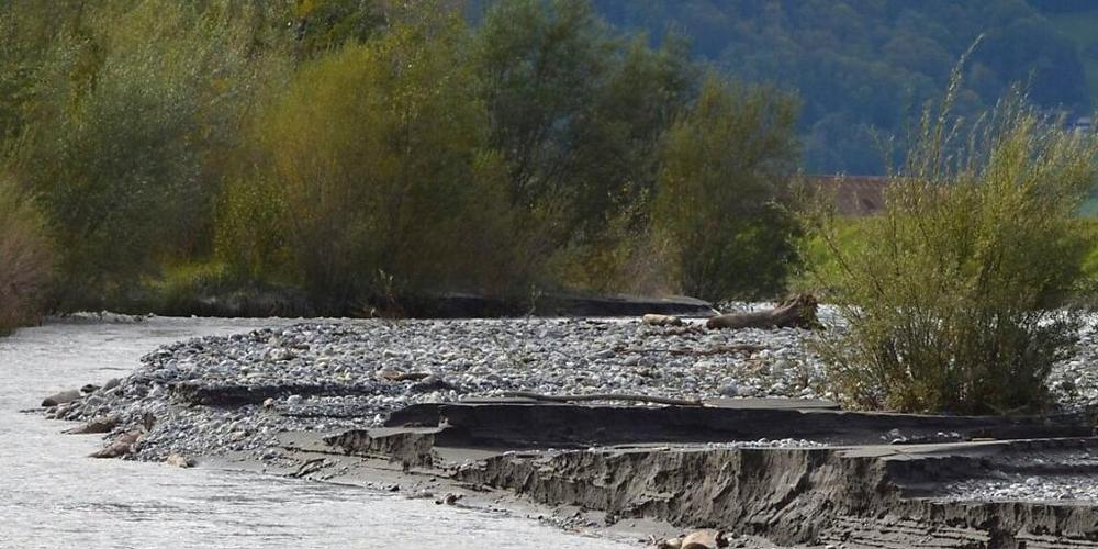 Das renaturierte Gebiet Chli Gäsitschachen am Escherkanal stellt besonders für Amphibien einen wichtigen Lebensraum dar.