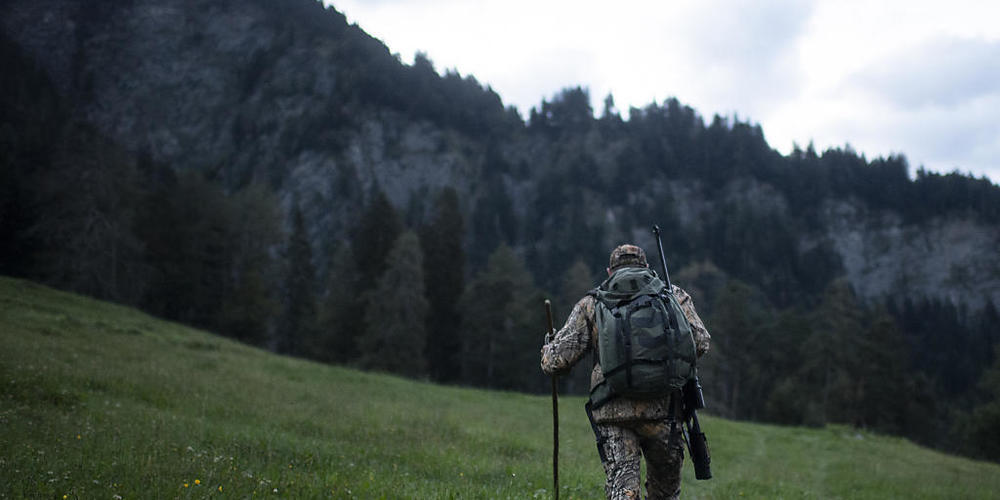Im Kanton St. Gallen gibt es Jagdreviere sowohl in der Stadt als auch im Hochgebirge. (Symbolbild)