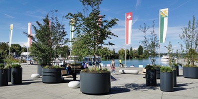 Stadtinseln am Hafenplatz.