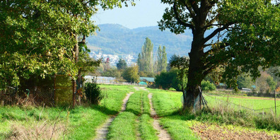 Der Kanton Schaffhausen lädt zum Klimaspaziergang ein. 