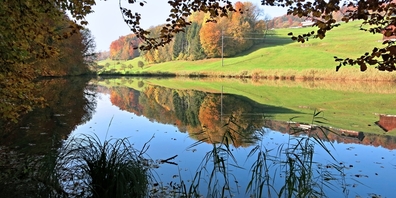 Unterhalb des Siessenweihers soll ein weiteres Rückhaltebecken für Starkregen erstellt werden. Das nationale Amphibienschutzgebiet bleibt erhalten. (Archivbild)