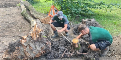 Noch sind die Gartenbauer an der Arbeit