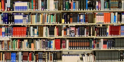 Die PHSG in Rorschach bietet Studiengänge an, für solche, die bereits eine Berufsausbildung abgeschlossen haben. 