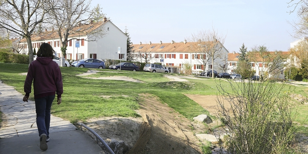 Die Familien-Genossenschaft Zürich interessiert, was Jugendliche über das Leben im Quartier denken.