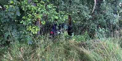 «Suchbild»: Das Auto kam zwischen Bäumen zum Stehen. Durch den Unfall trat Öl aus. Der Sachschaden ist fünfstellig.
